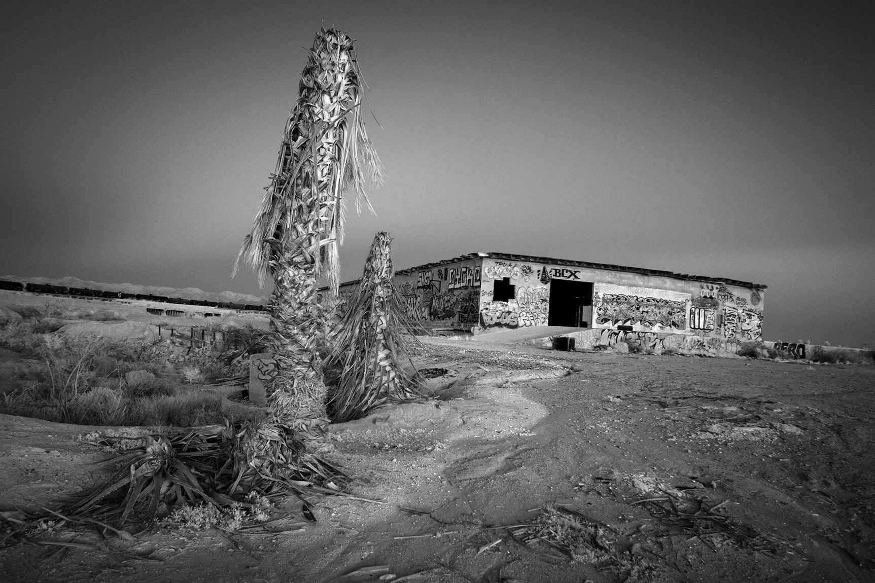 SouthWest 1 — James Higgins Photography